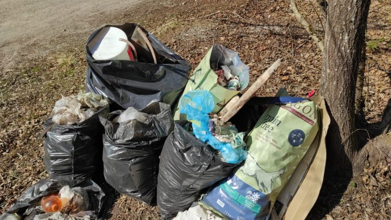 c8e550bb-52a6-4bd3-8d31-96845c79849c