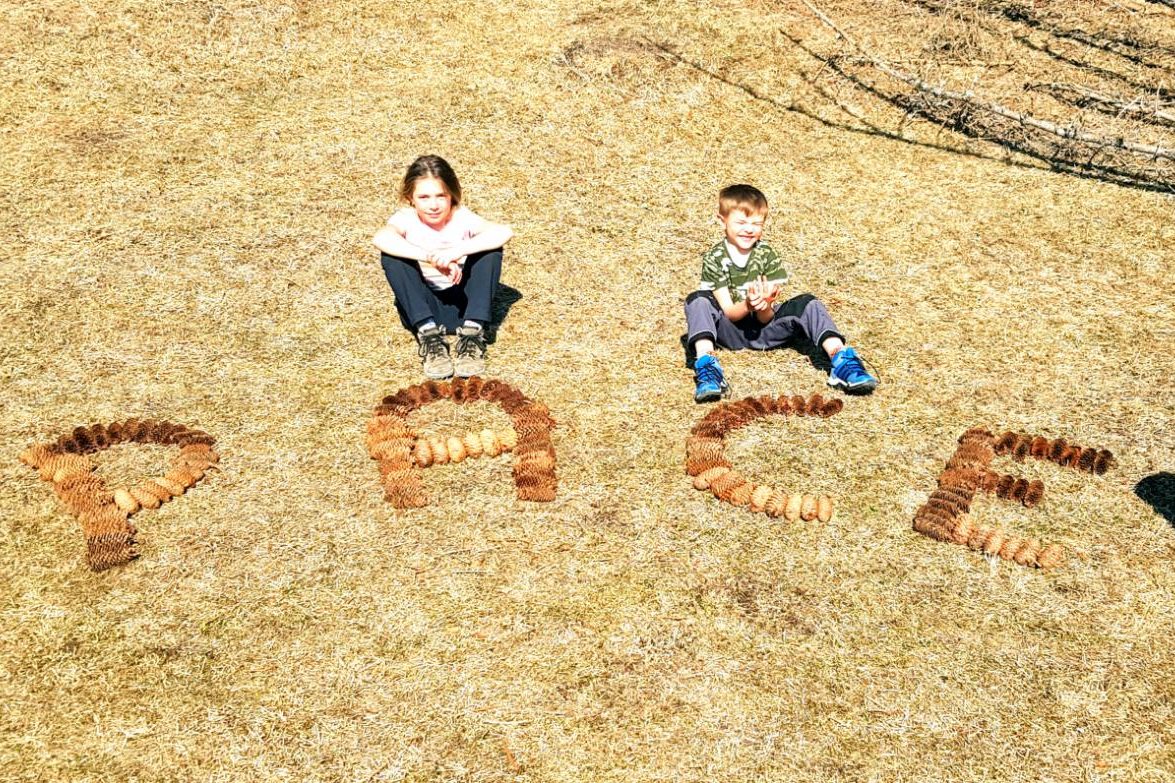 cba2d493-c501-4863-be1c-936acc813dcb