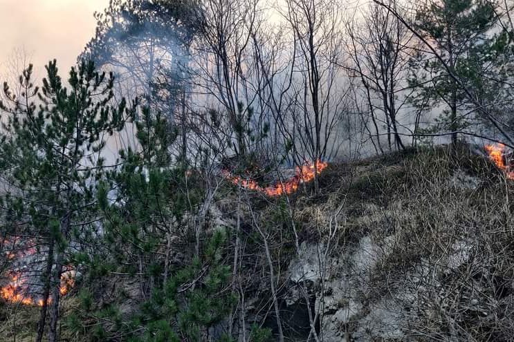 cdc40528-efac-4443-a1a2-26dcacc22545