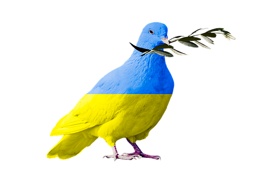 dove-of-peace-7051688__340