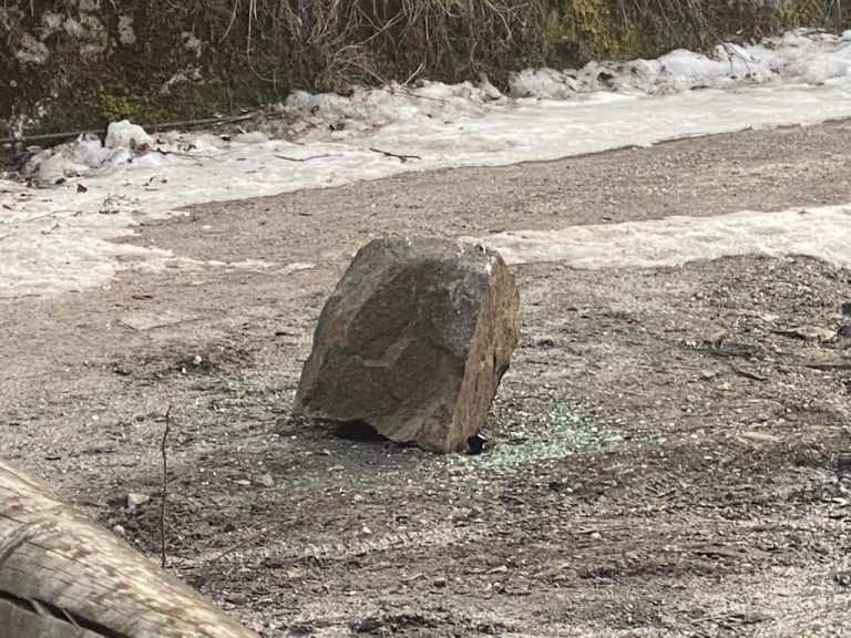 fe742ea4-e7cc-4644-941b-50c9e108d12a