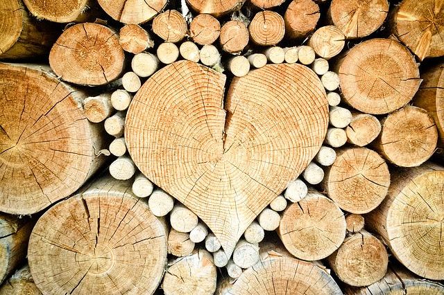 heart-1288420__480
