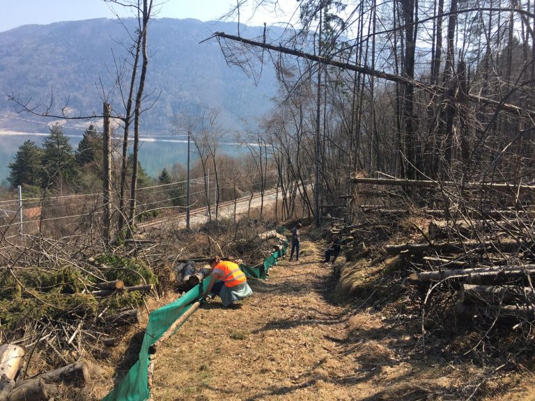 image-28-03-22-07-58