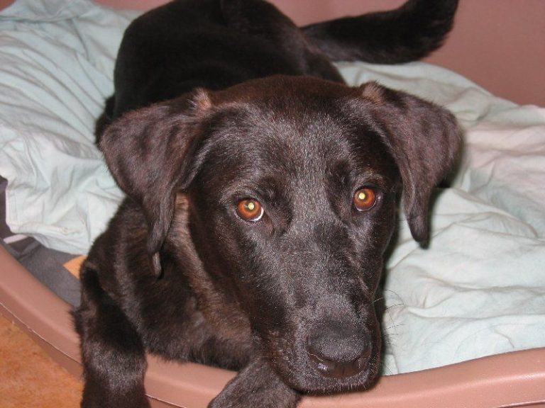 147fb0e1-525c-4091-bf3e-d8ee263e01df