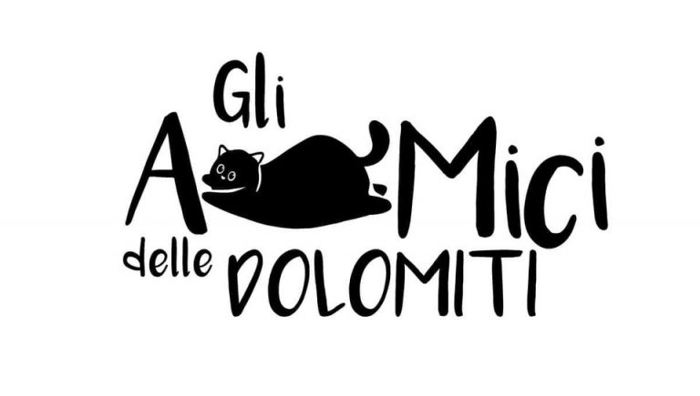 241895970_108516204908810_831895307536606057_n