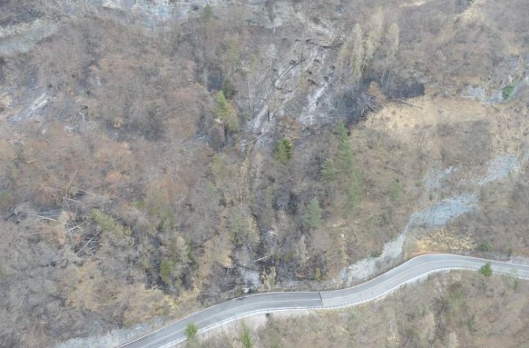 278079030_352424163592929_8231063793182814587_n