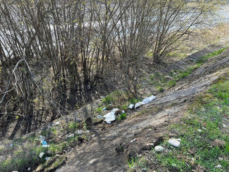 278148997_559505685518204_2388921877346563872_n