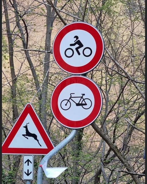 278891815_4970395946407064_3516839084108237889_n