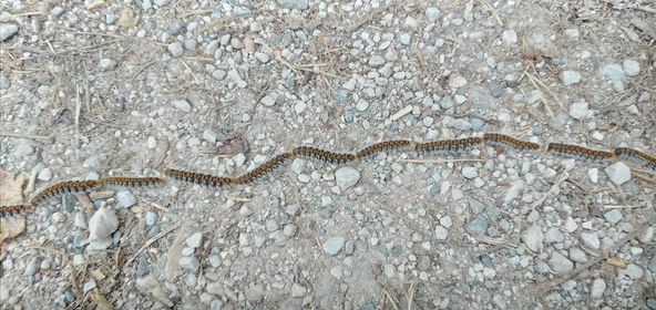 278993702_5243118905749582_6116954853217533289_n