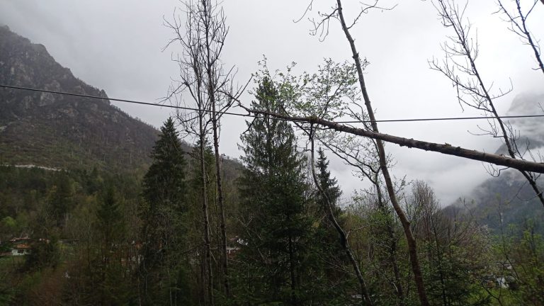 37e18b88-aa6f-4d22-9063-58bf46d66353