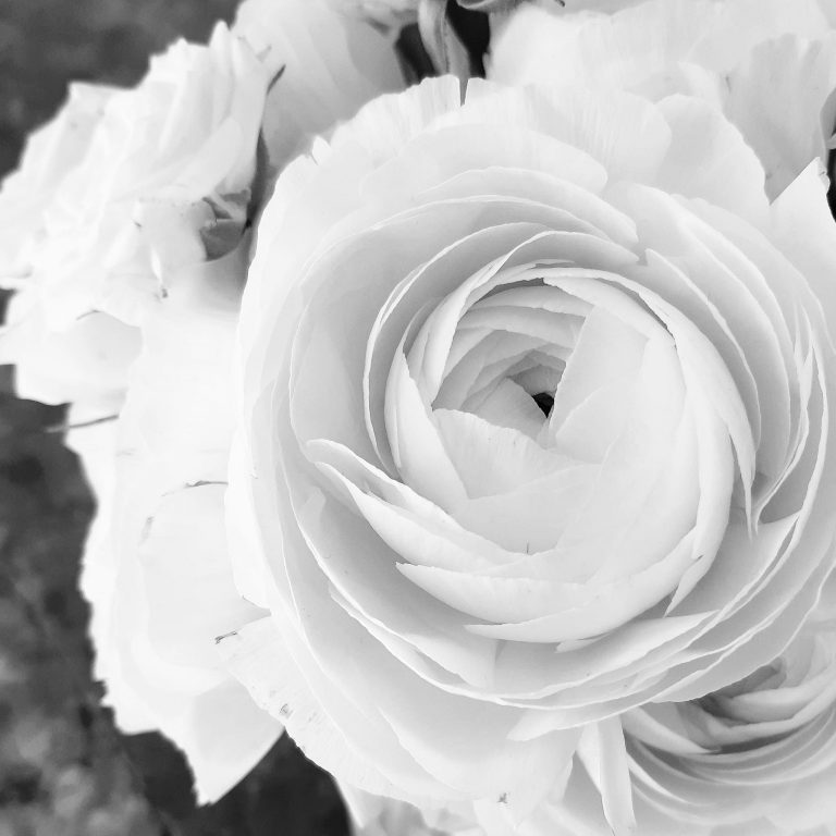 5 gisella canzian f0oto