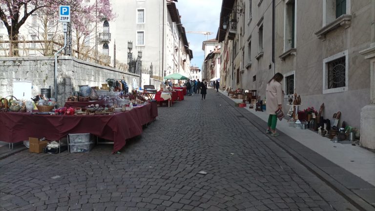 FELTRE 6