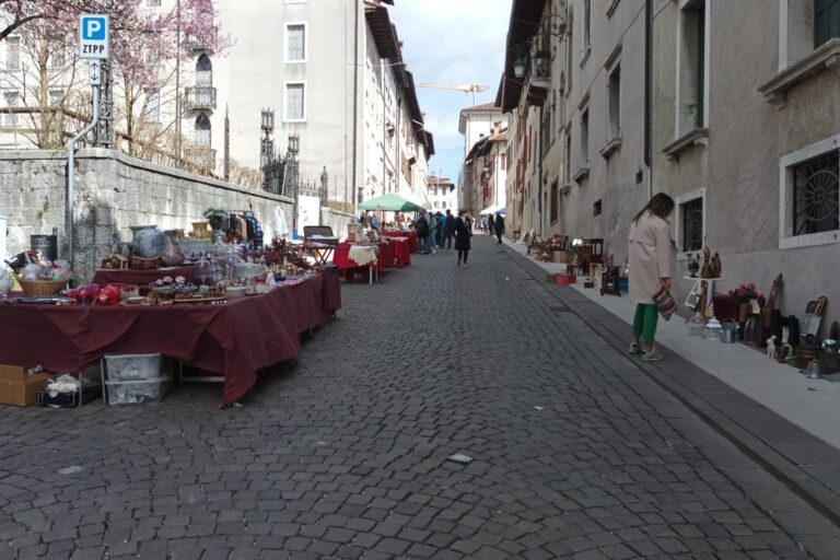 FELTRE 6