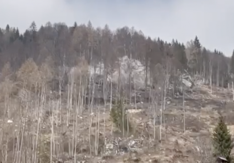 Schermata 2022-04-08 alle 16.31.13