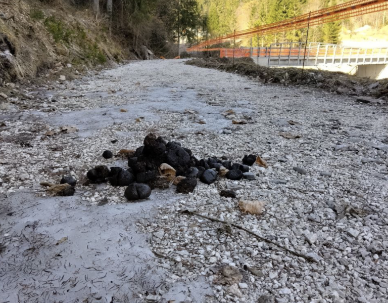 Schermata 2022-04-18 alle 12.07.55