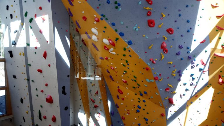 c95e01c2-23f6-403c-a73f-9d15ae857a8c