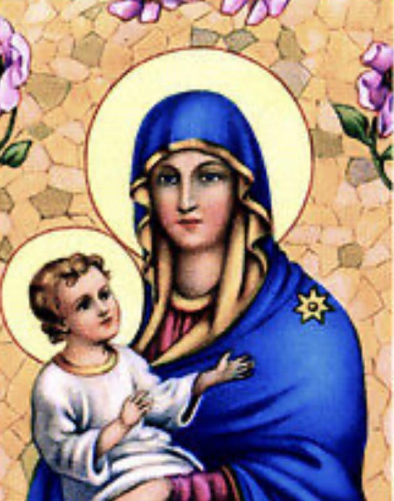 d69f19f3-ed1d-4011-b825-85d12ddd581f