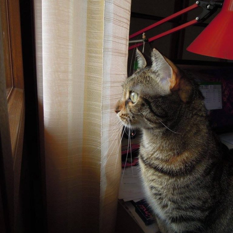 1 PAOLO DE TOFFOL FOTO