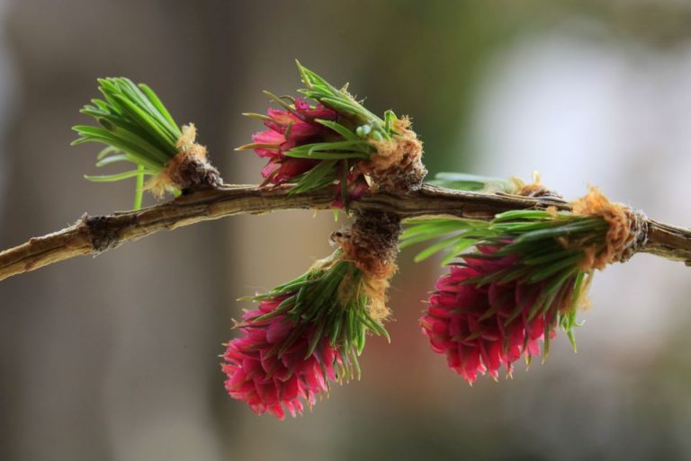 278859335_5266060960112727_3351616427768792601_n