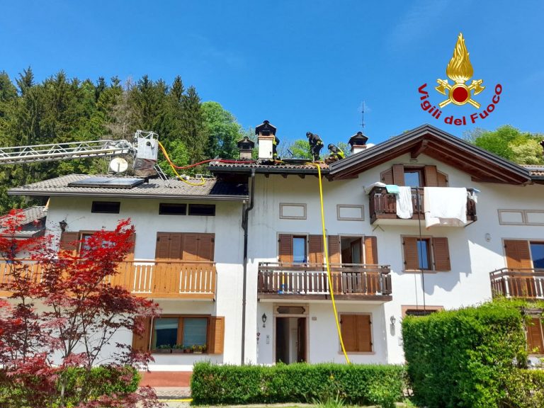 74c102c6-ec88-4dc5-b91b-75f1c2969730