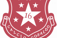 GOSALDO