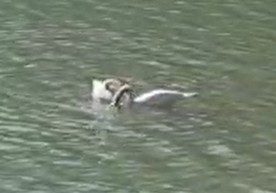 aaaaaaaaaaaaaaaaaaaaaaa