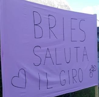 bries