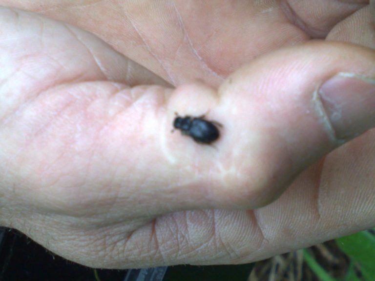 ef34ad24-1923-4519-b8eb-7cf8451f87a0