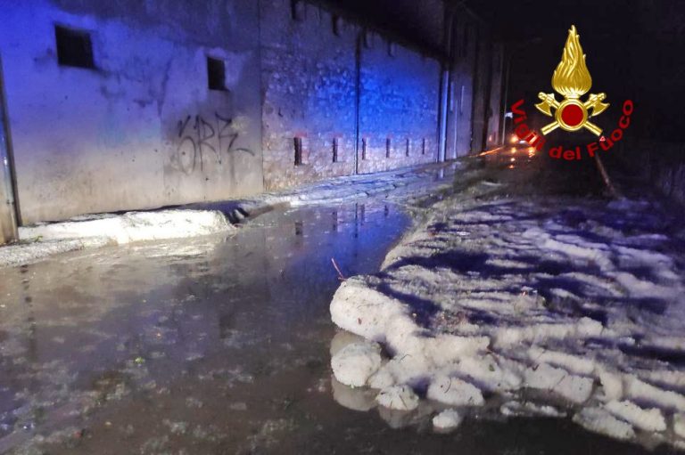 418C3295-0ED3-48CD-9726-156345213783