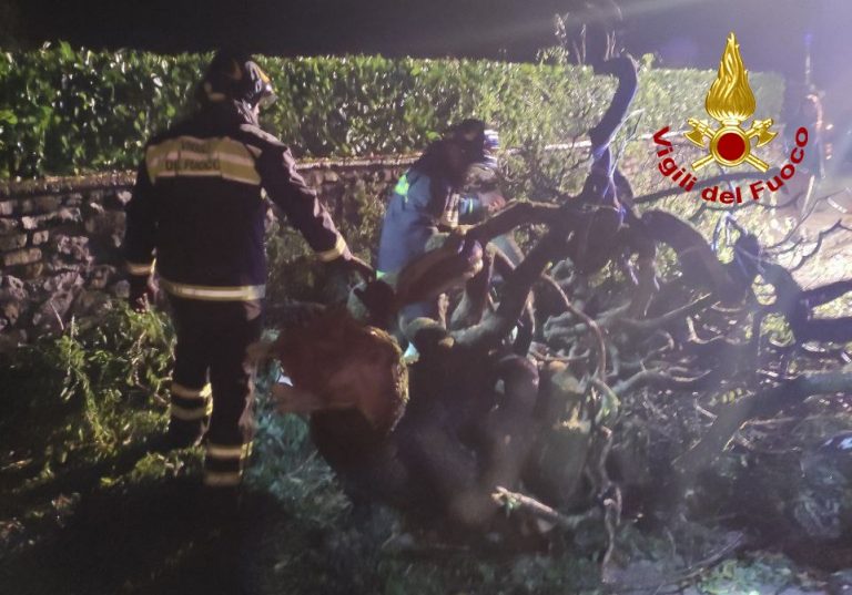 4C59E1AD-D891-4A21-AF97-B58D7F688615