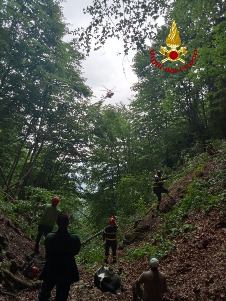 6b94b81f-dcff-4362-9886-a584ab5025a6