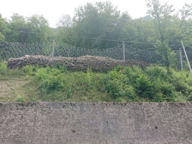 86ce6ec7-1039-4edd-b11d-fbb9a438c51b