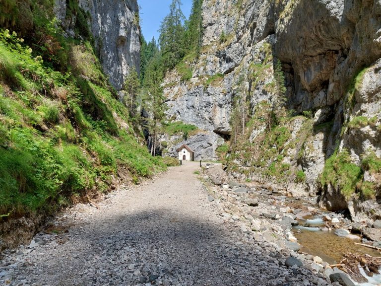 979e340e-285f-42a6-9ddb-4ef96656a276