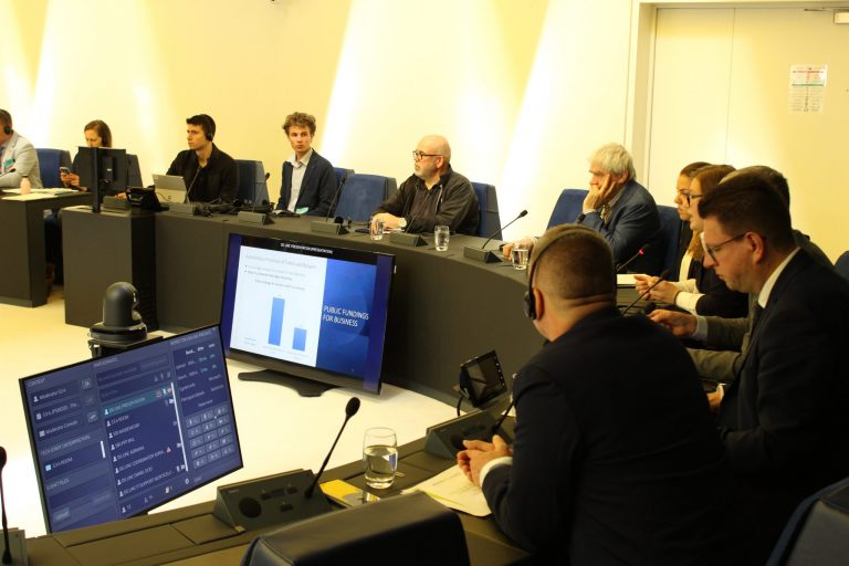 Bard – Report ladini Strasburgo Intergruppo minoranza (2)