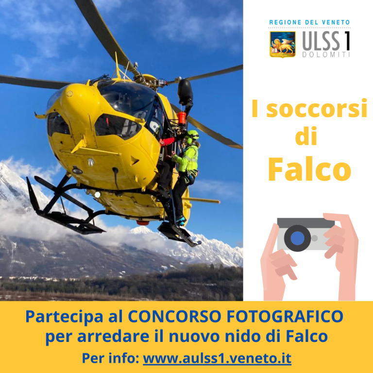 I soccorsi di Falco