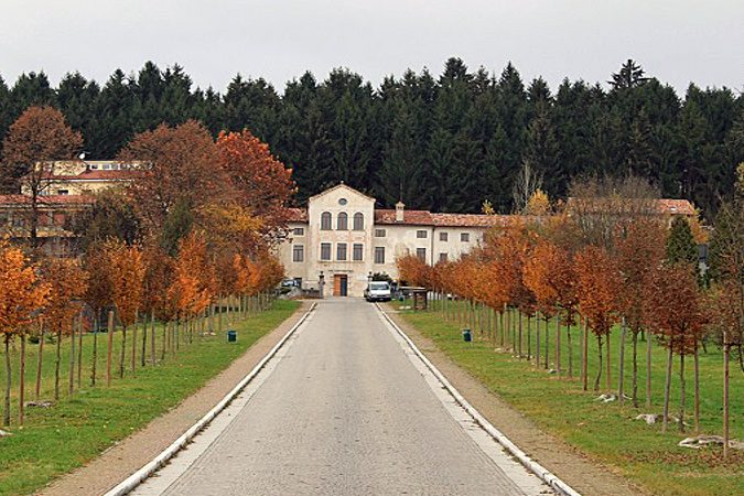 ISTITUTO AGRARIO VELLAI