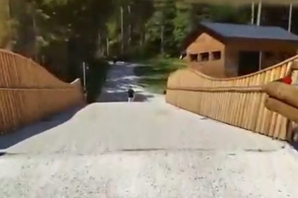 PONTI SUL BIOIS