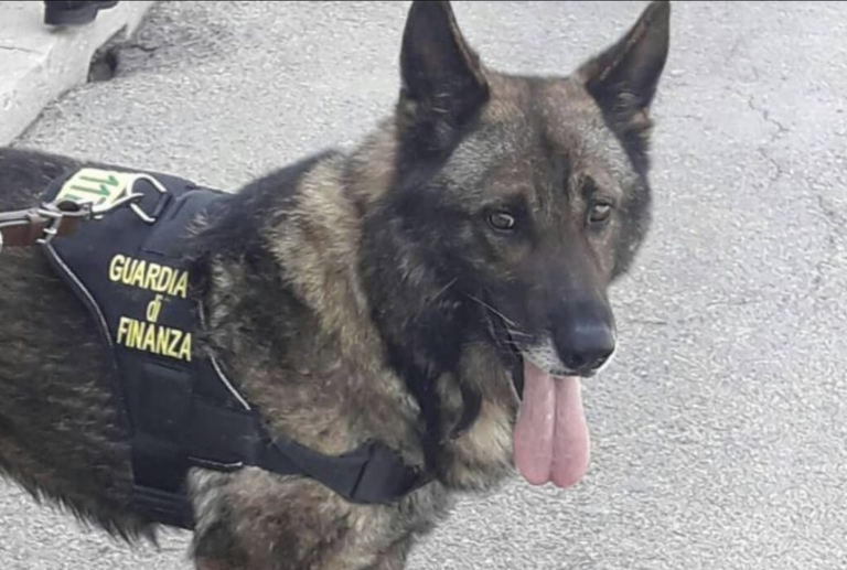 Schermata 2022-06-01 alle 15.26.47