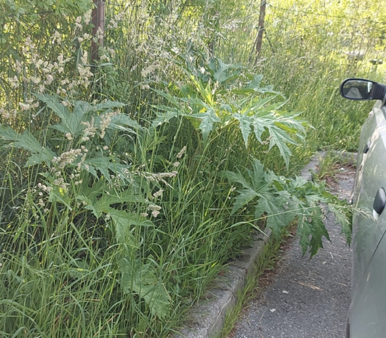 Schermata 2022-06-02 alle 09.56.13