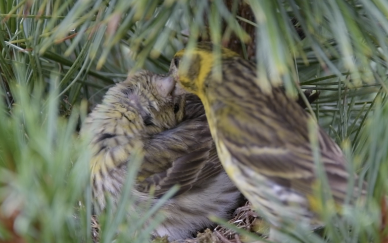 Schermata 2022-06-24 alle 23.34.59