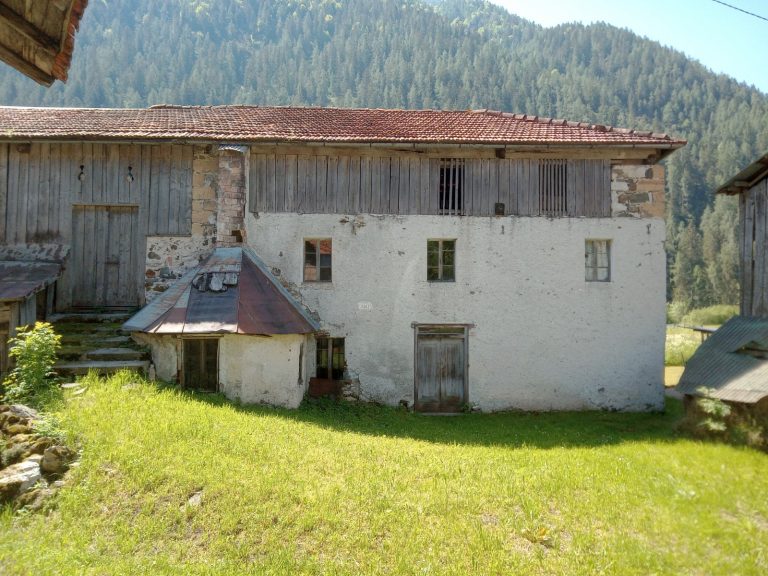 c98088ae-3087-4ac0-ba8f-918586e42ae1