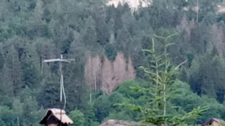 da3dc8e6-3a6d-4a51-aa89-28602df097ef