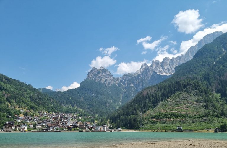 e97b8d88-fab4-4a23-b1b3-b244dee50348