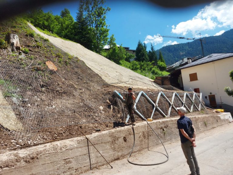 ed0d896a-af04-4b43-93a1-8791a5121a00