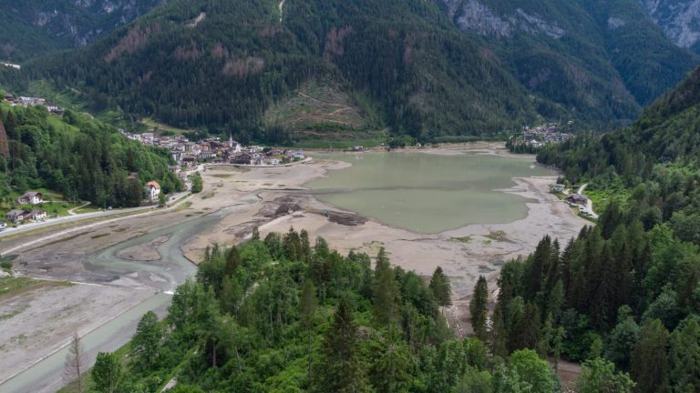 fc9e8a95-2a90-4c8f-8a9f-3ef74d0d30f2