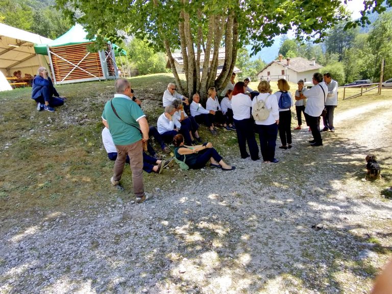 10c24611-38e9-425f-b679-dd45979be110