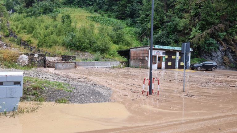 14fd850b-ff4d-4478-bcea-5116fedd18e8