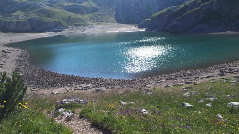 211b39bf-411a-488d-8856-1583a578075e