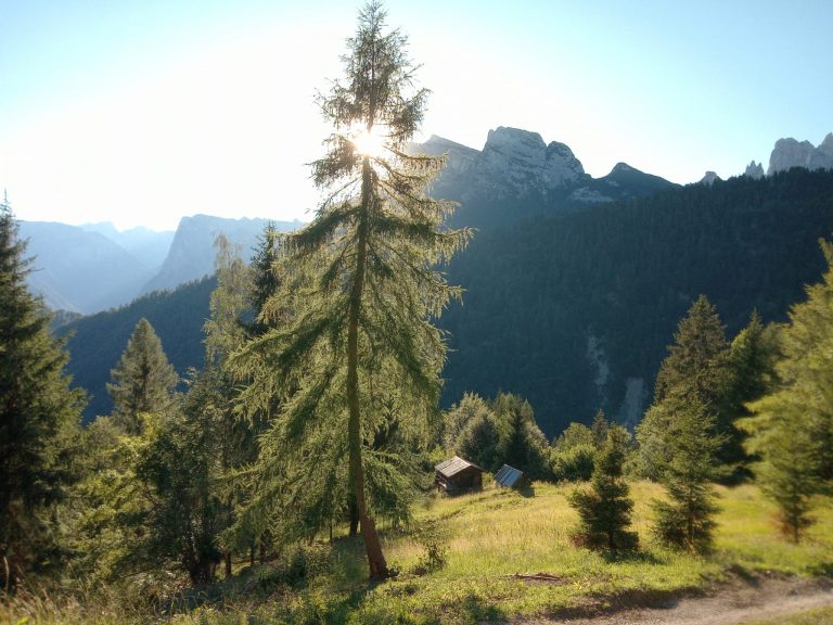 27d4f6d4-767a-4f82-aeec-c42943bc402f