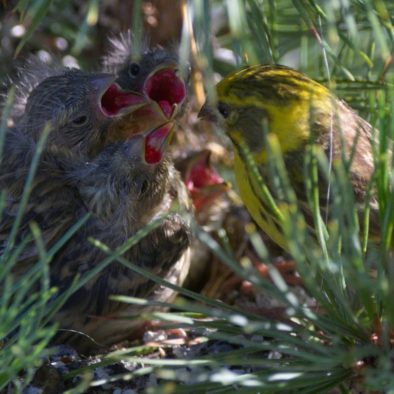 290809182_354302423340981_646870221472086135_n